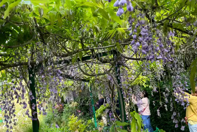 Blooming spring flowers in Monet’s Gardens during a Giverny Monet’s Gardens private tour