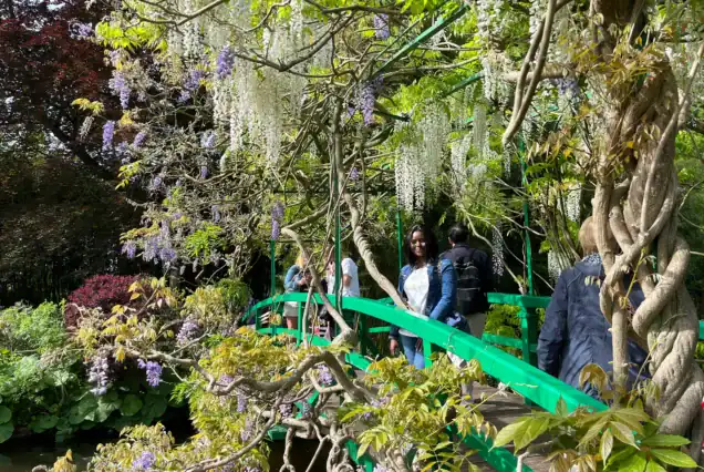 Guests exploring the vibrant pathways during a Giverny Monet’s Gardens private tour