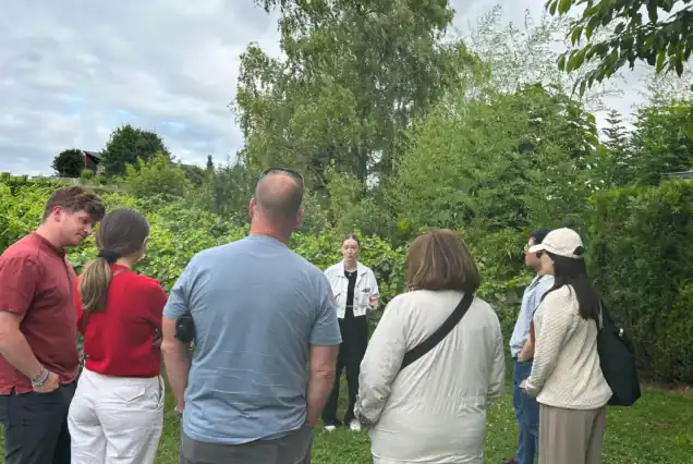 Champagne day trip from Paris at Grand Cru vineyard