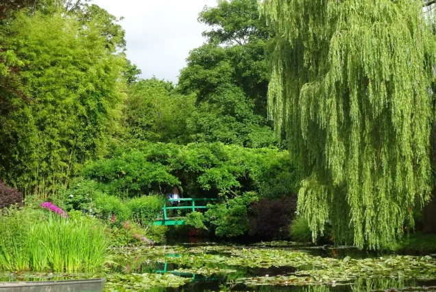 View of Monet’s pond and Giverny monument on private tour from Paris
