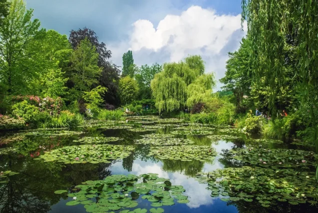 Wide view of Monet’s colorful gardens on Giverny private tour from Paris