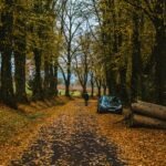 Golden hour in Paris in the Fall